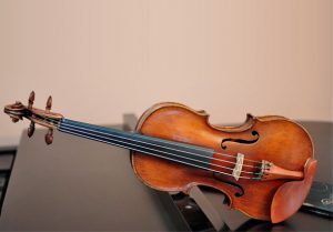 tipos de violines